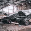 blackbrounis01