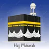 ayaantahir609