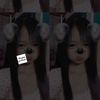 wwer_.09