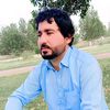 shahzib7205