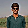 alihussain8656