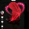user73671794379744