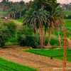 user95209031852834