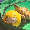 sftortlife
