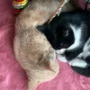 anjsnsaj