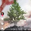 user1122870966651