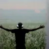 r__sd__55