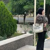 .kani.1