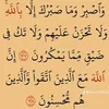 user59637629080775