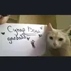 ermyirrq