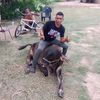 user6905303951818