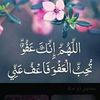 user63707536158751