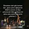gence579