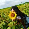 cuadro_00