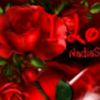 ardy.dhelson