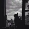 tamtrangchill79