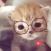 _ngqw.ht
