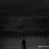 nhttinphan8