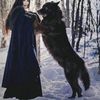 blackwolfy95