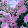 mohammedsaidi2465