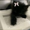 zena__yda