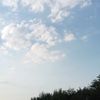 widyawati_081