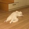 hello_my_name02