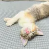 ellieboolife