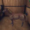 moawisehouse
