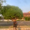 kiraa_tlfc