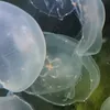 trip_trip00