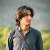 syed_hizar