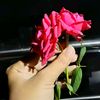 user5278140872165