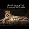 3lrose1