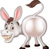 funny world and animals