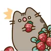 _kici4_