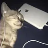 rialolzzz1