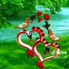 user2992445886108