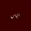ilyasilyas3909