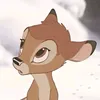 novsle
