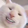 locnekmay