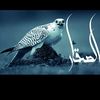 falconer365