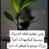 farahfaraf31