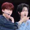 riwook - catboiz line