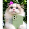 sadia_afrin670