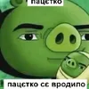 shrek_kaktys228