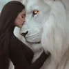 kkkk2397