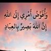 user291451283474