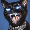 letora_