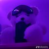 purp_teddy